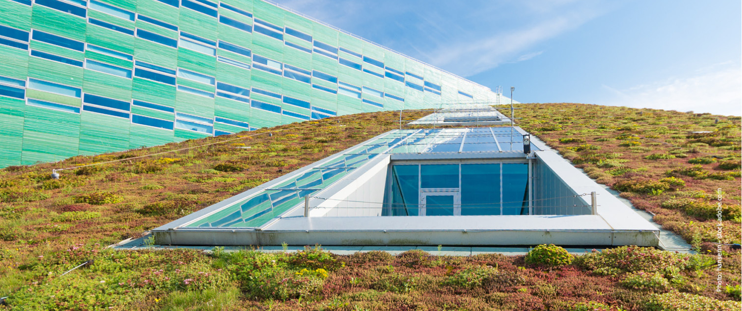 Greened roofs for the regulation of rainwater.